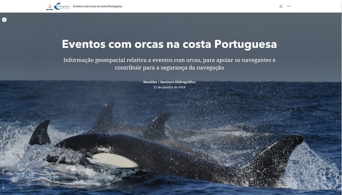 Eventos com orcas