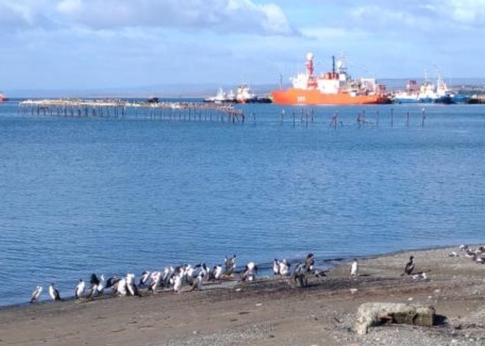 BIO Hespérides atracado no Porto de Punta Arenas