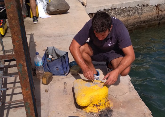 Colocação de uma Marca de Nivelamento no Porto da Palmeira