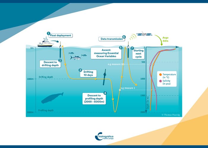 Instituto Hidrográfico lança em Portimão o flutuador Argo que observa o oceano