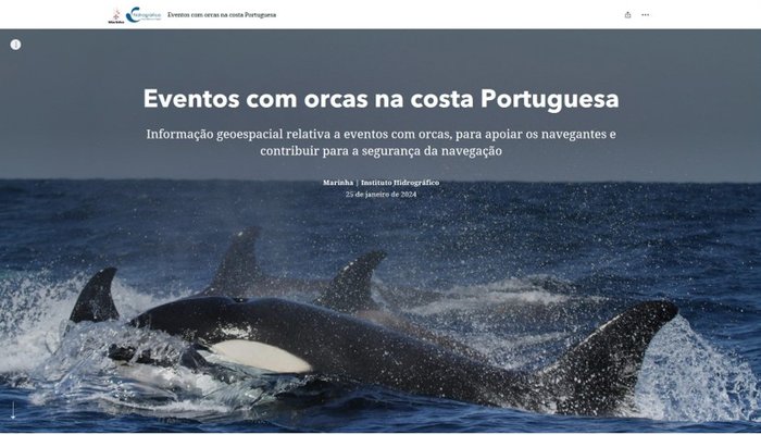 Eventos com orcas