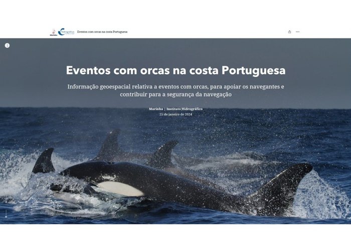 Eventos com orcas